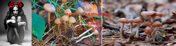 марихуана Горнозаводск
